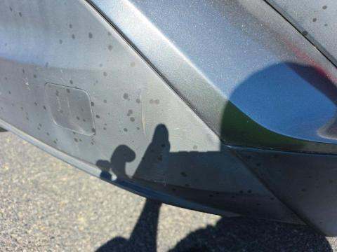 2018 Toyota C-HR XLE FWD