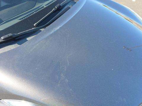 2018 Toyota C-HR XLE FWD