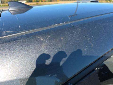 2018 Toyota C-HR XLE FWD