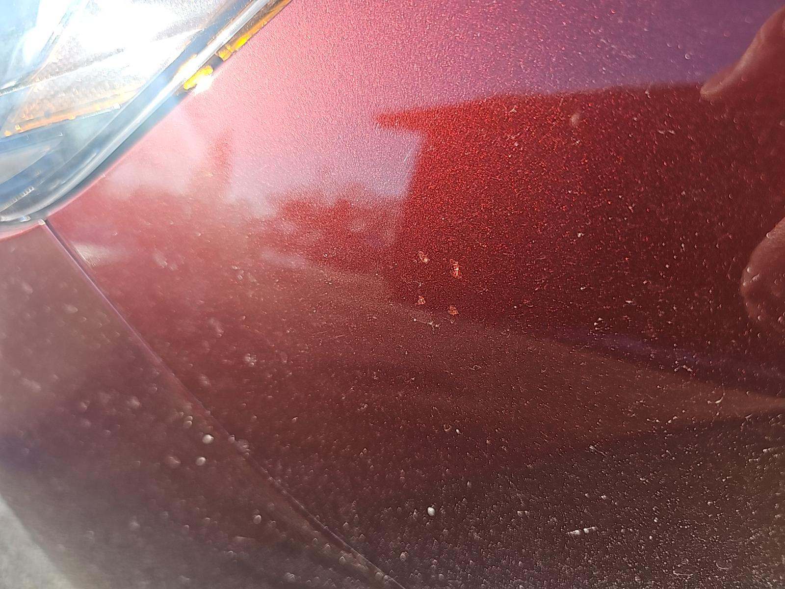 2021 Ford Escape Hybrid SE AWD