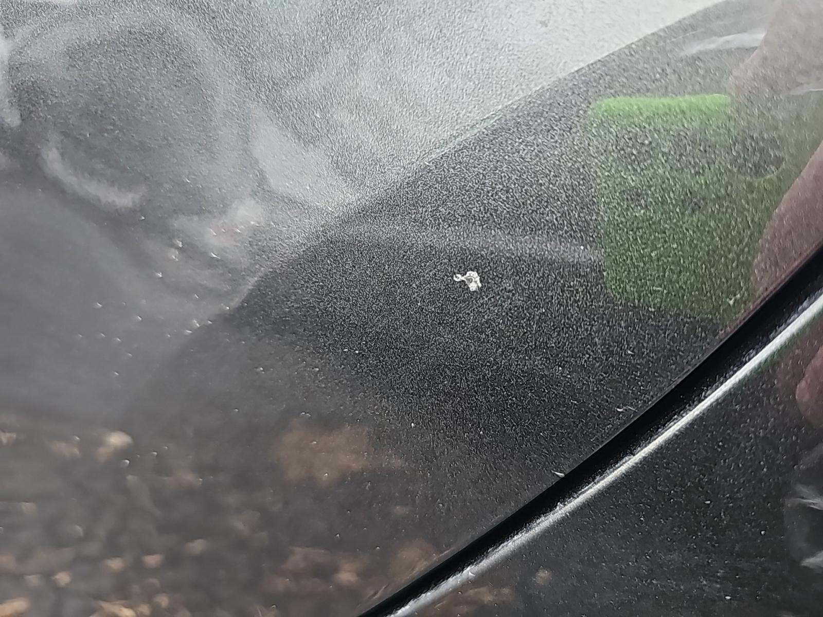 2018 Ford Focus ST FWD