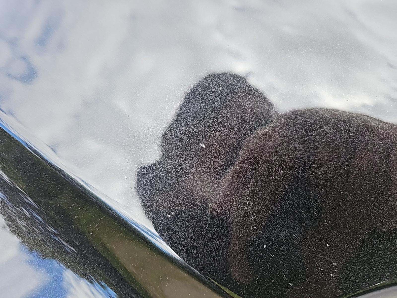 2019 Lexus ES ES 350 Ultra Luxury FWD