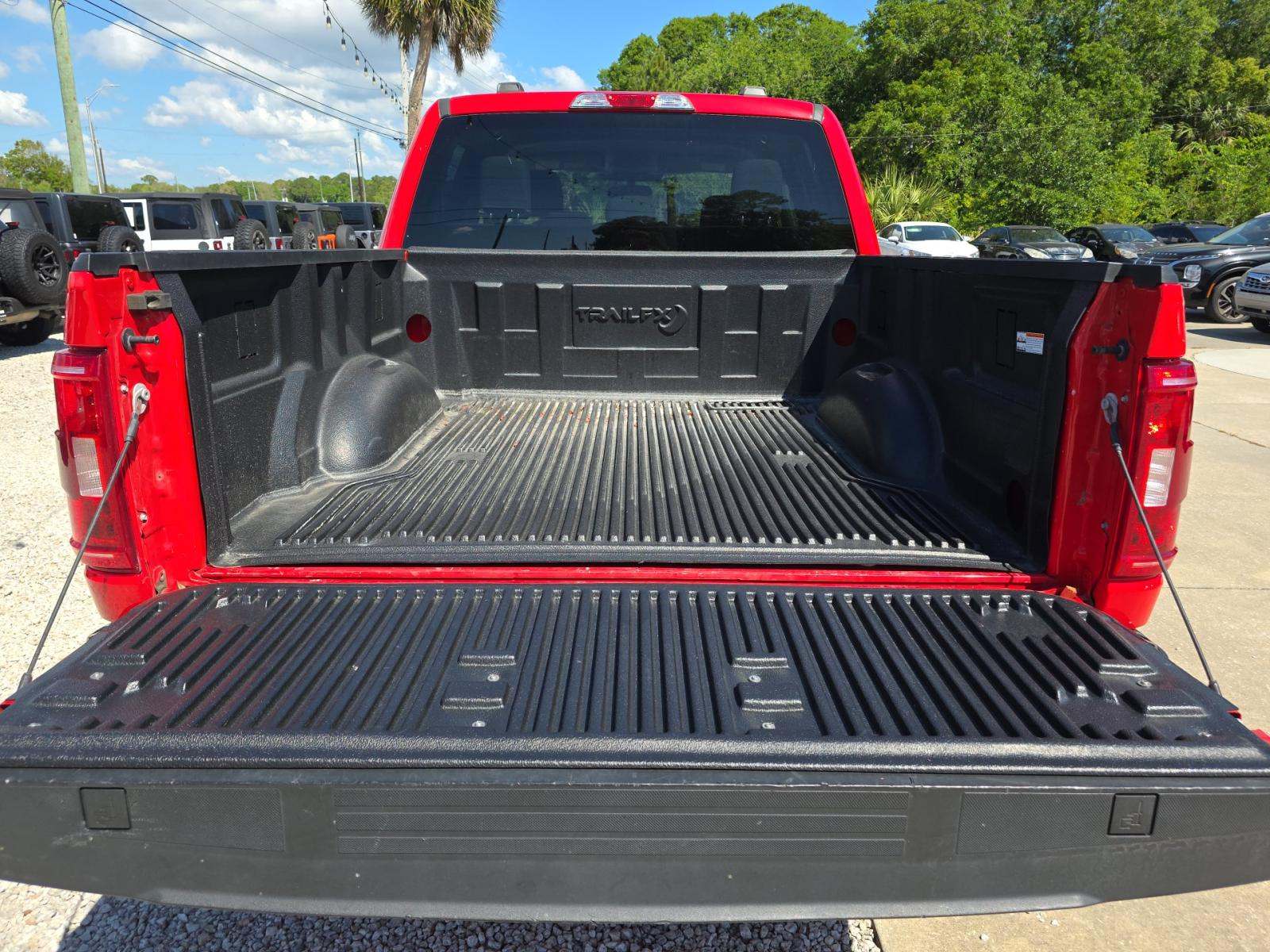 FORD F-150 - 10