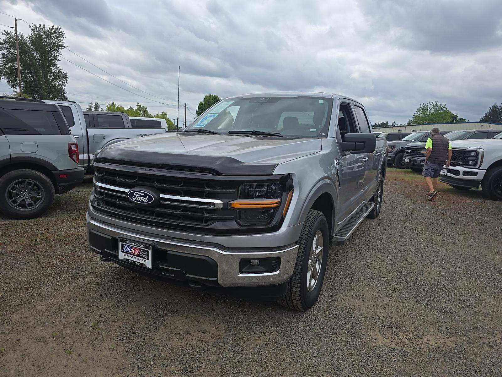 FORD F-150 - 1