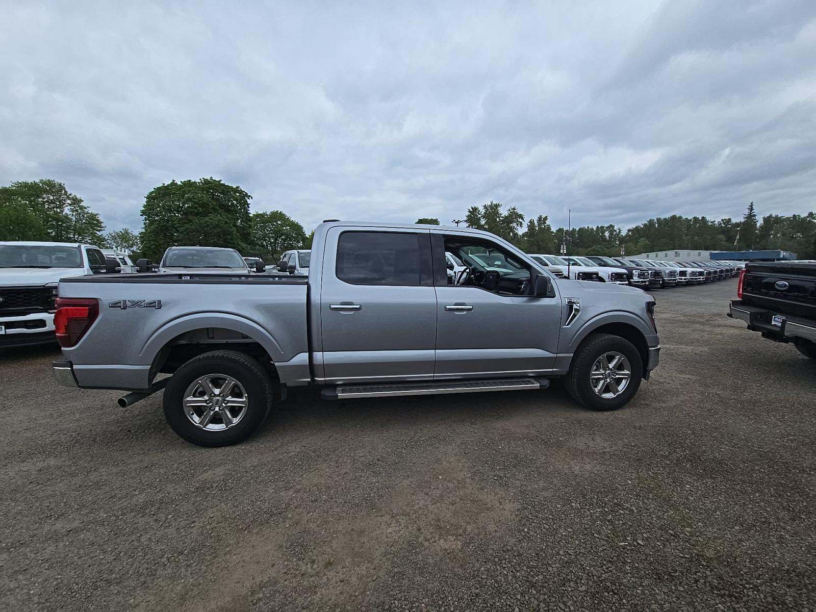 FORD F-150 - 4