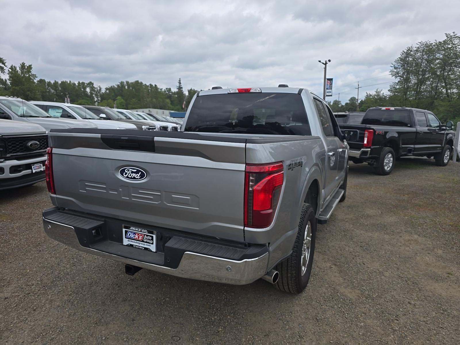 FORD F-150 - 3