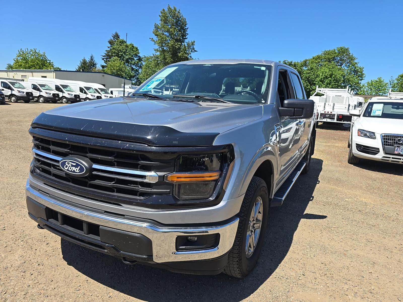 FORD F-150 - 1