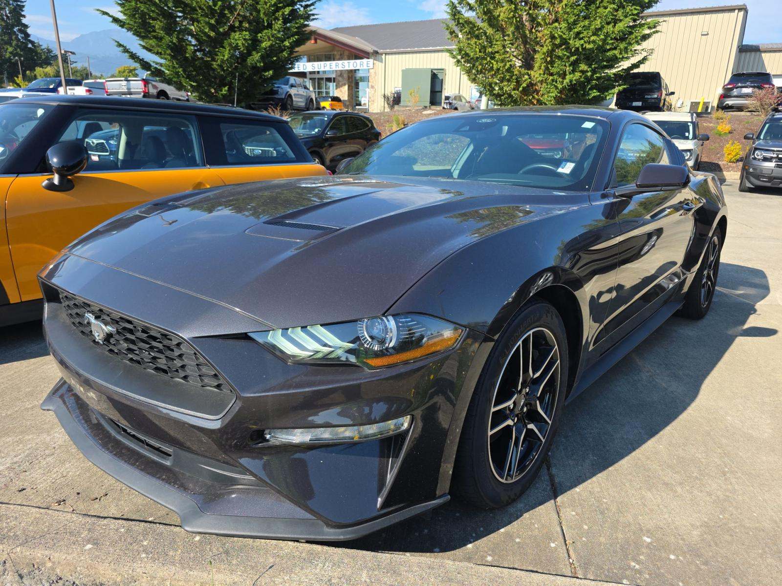 2022 Ford Mustang EcoBoost RWD