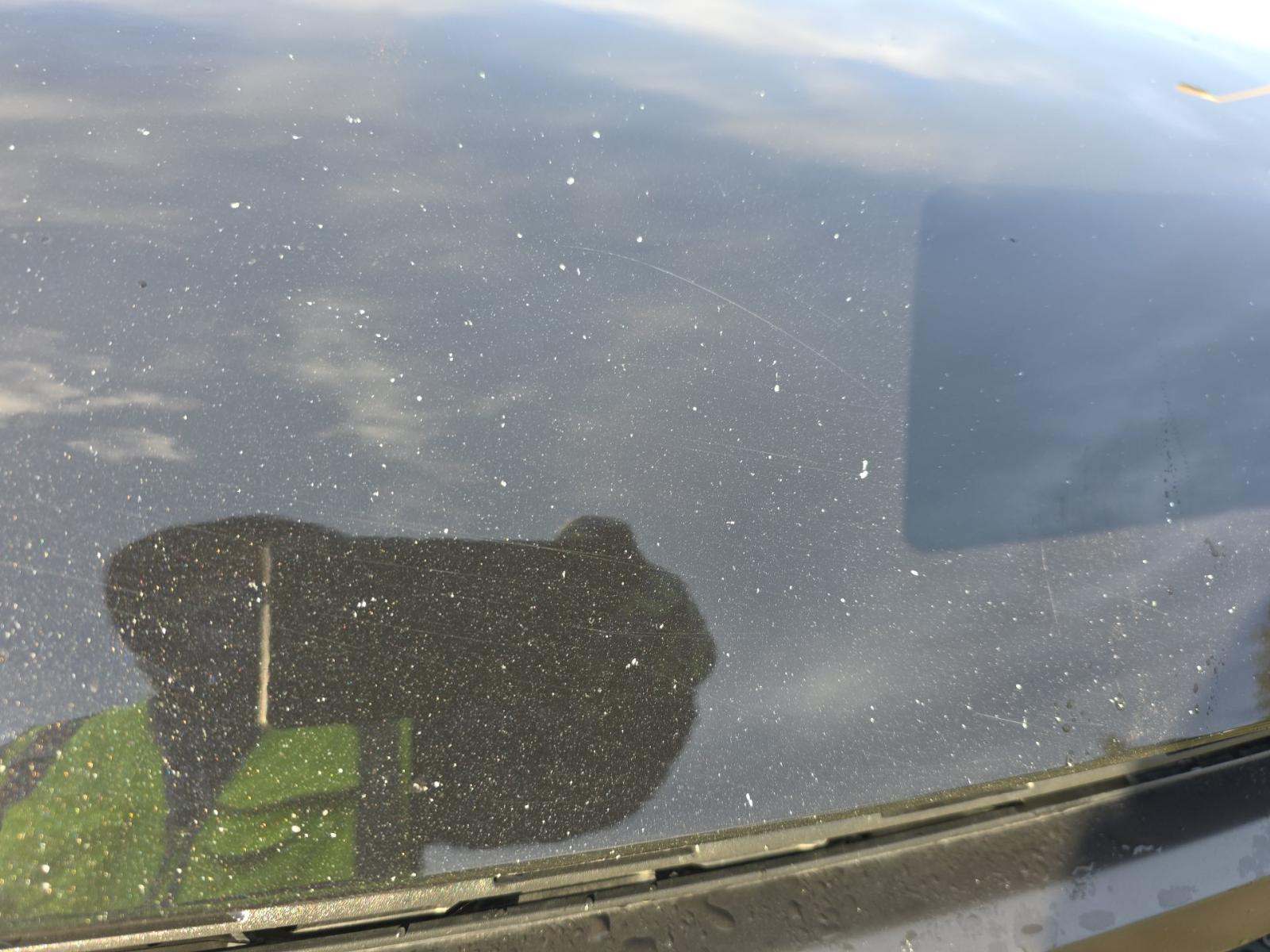 2023 Ford F-150 Tremor AWD