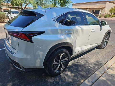 2020 Lexus NX NX 300h AWD