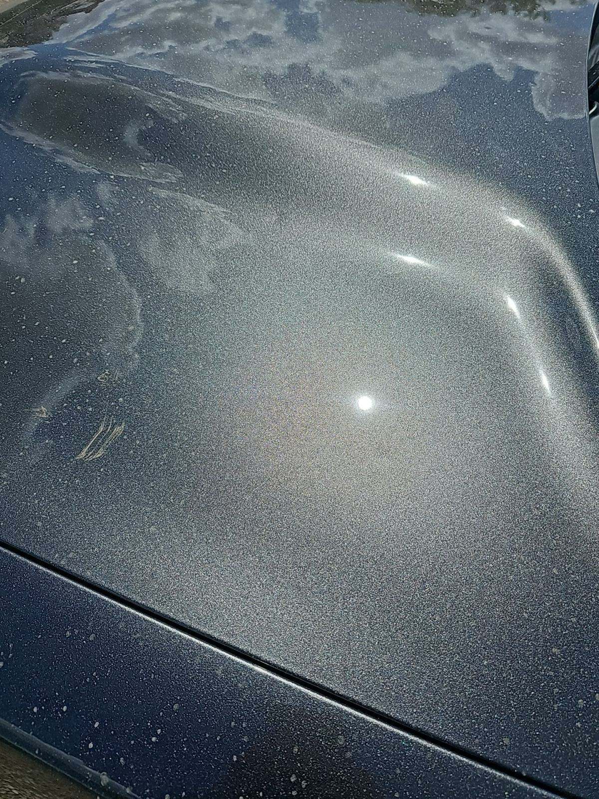 2020 Dodge Charger Scat Pack RWD