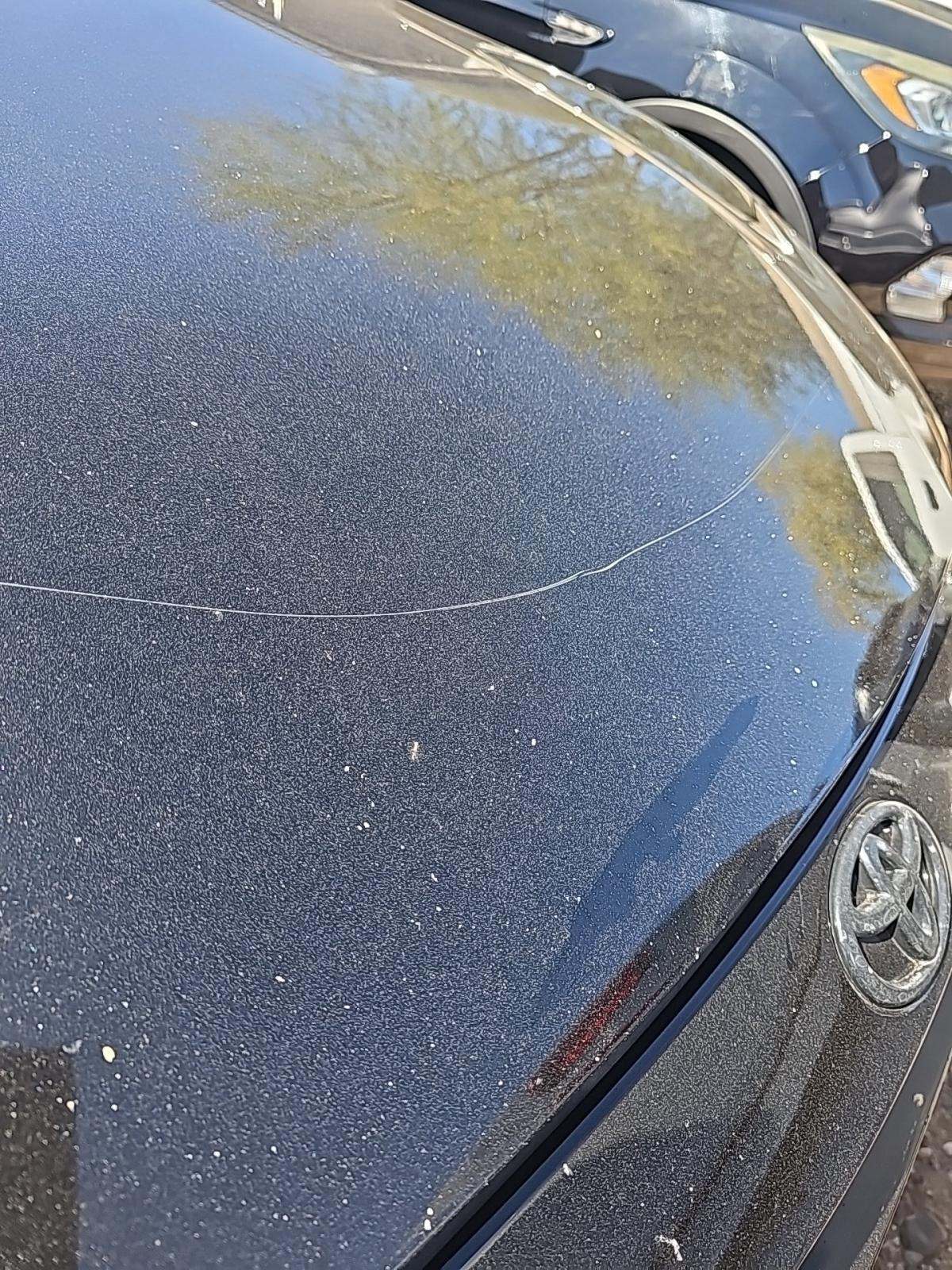 2021 Toyota Corolla SE APEX Edition FWD