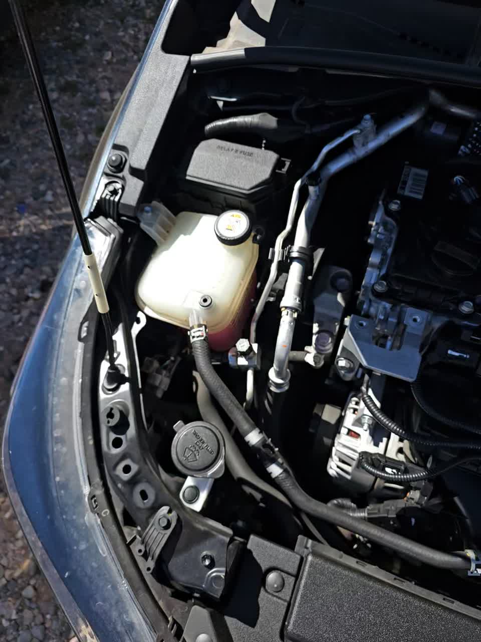 2021 Toyota Corolla SE APEX Edition FWD