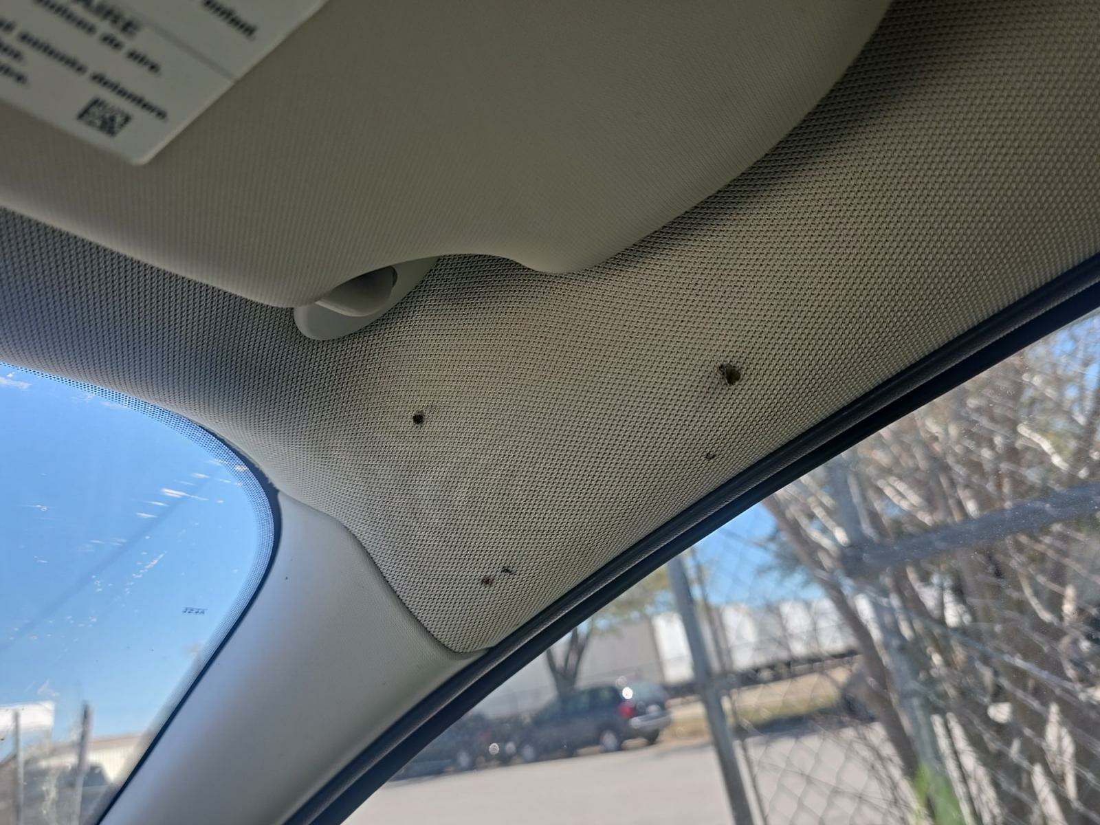 2017 Ford Focus SE FWD