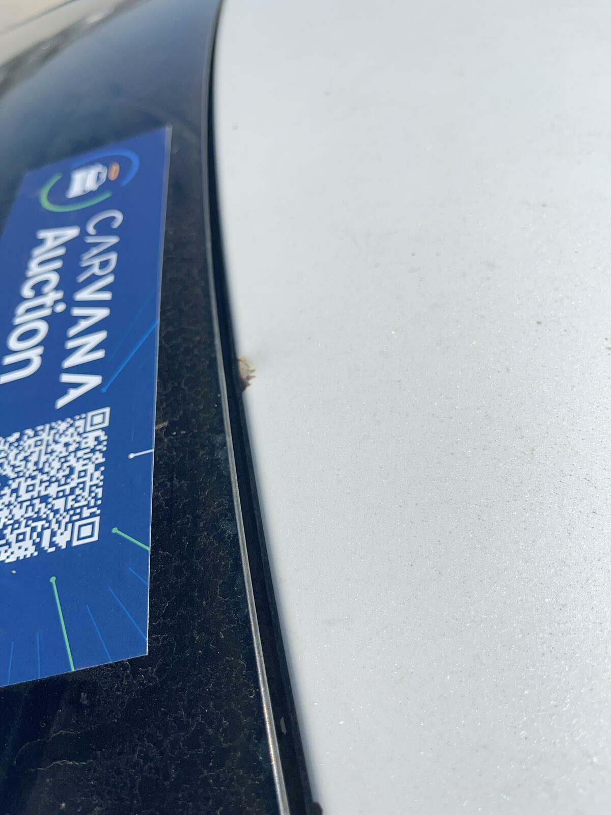 2015 Toyota Avalon XLE FWD