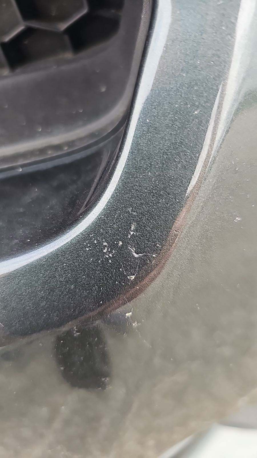 2016 Ford Mustang GT Premium RWD