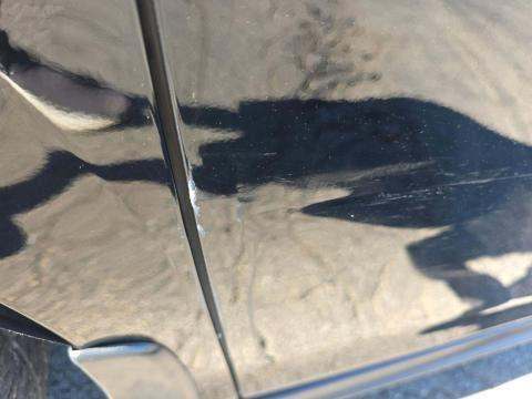 2019 Honda Odyssey EX-L FWD