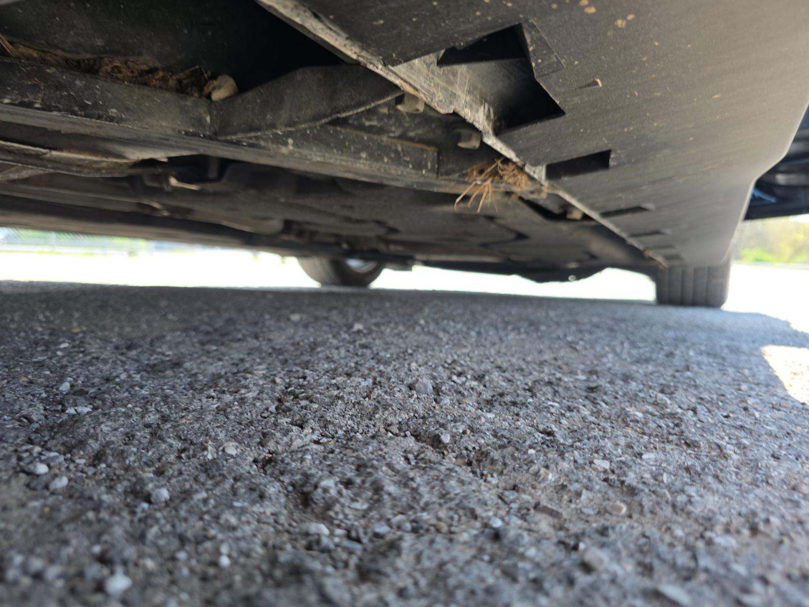 2024 Ford Mustang EcoBoost Premium RWD