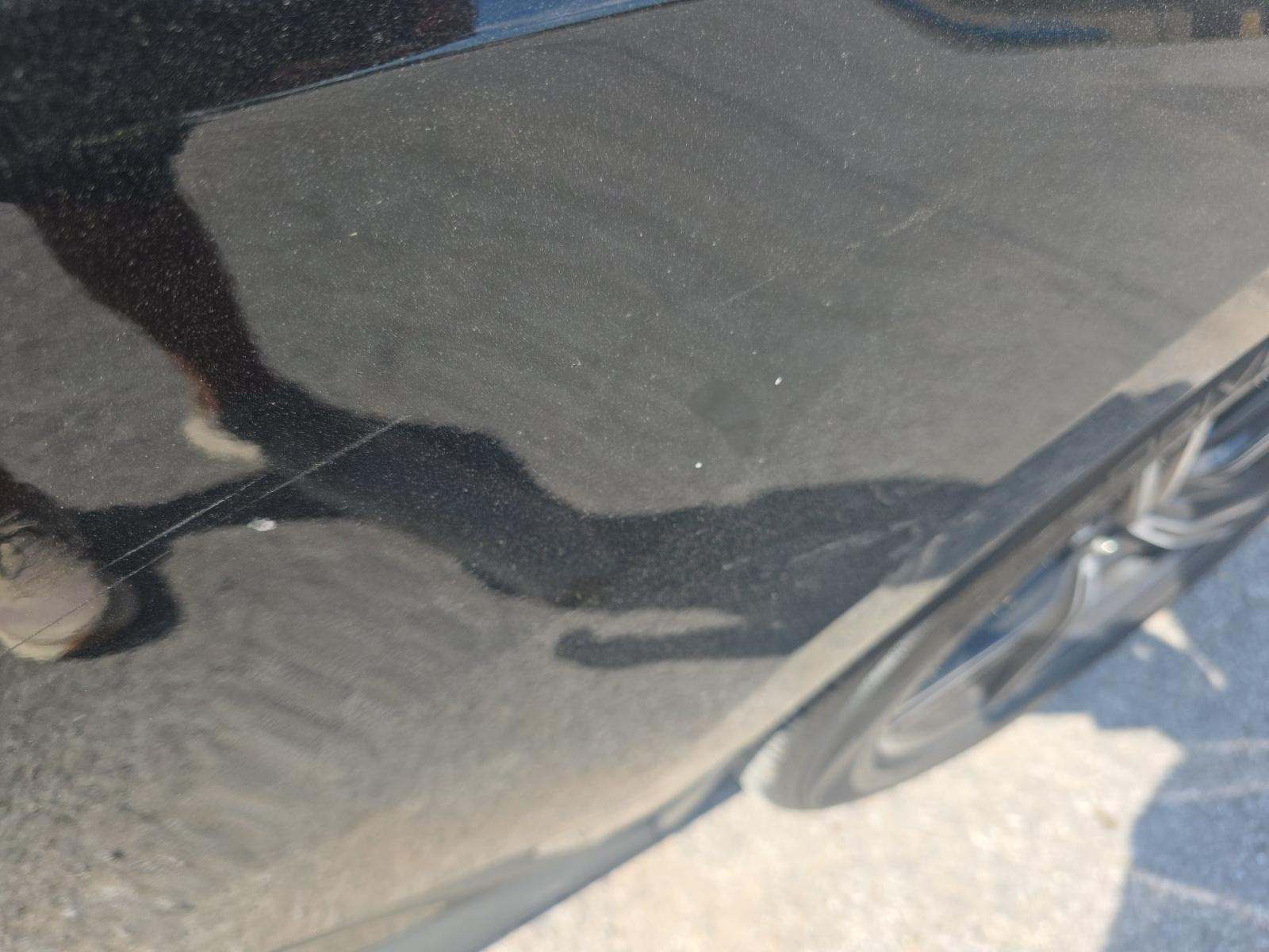 2024 Ford Mustang EcoBoost Premium RWD