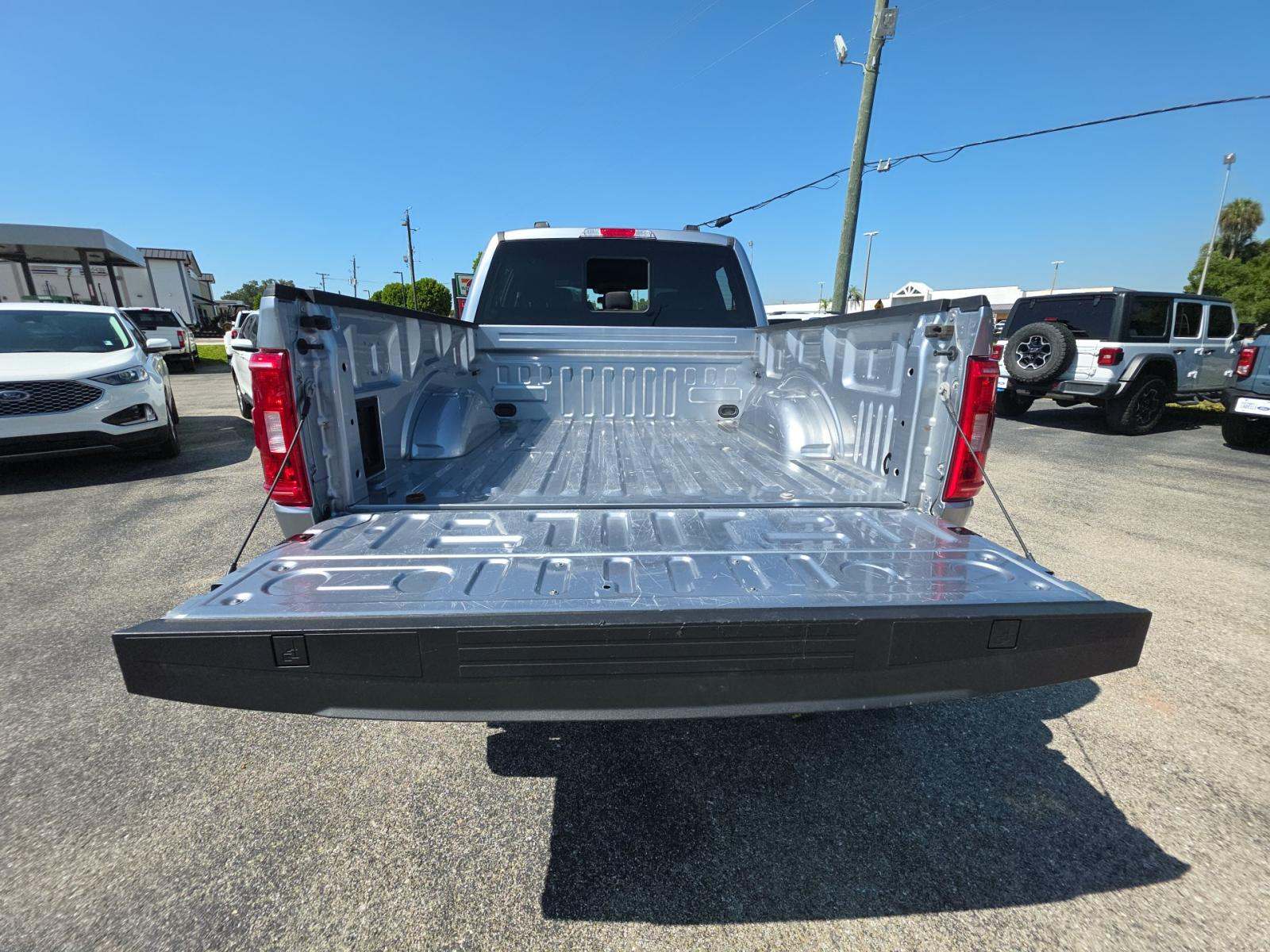 FORD F-150 - 10