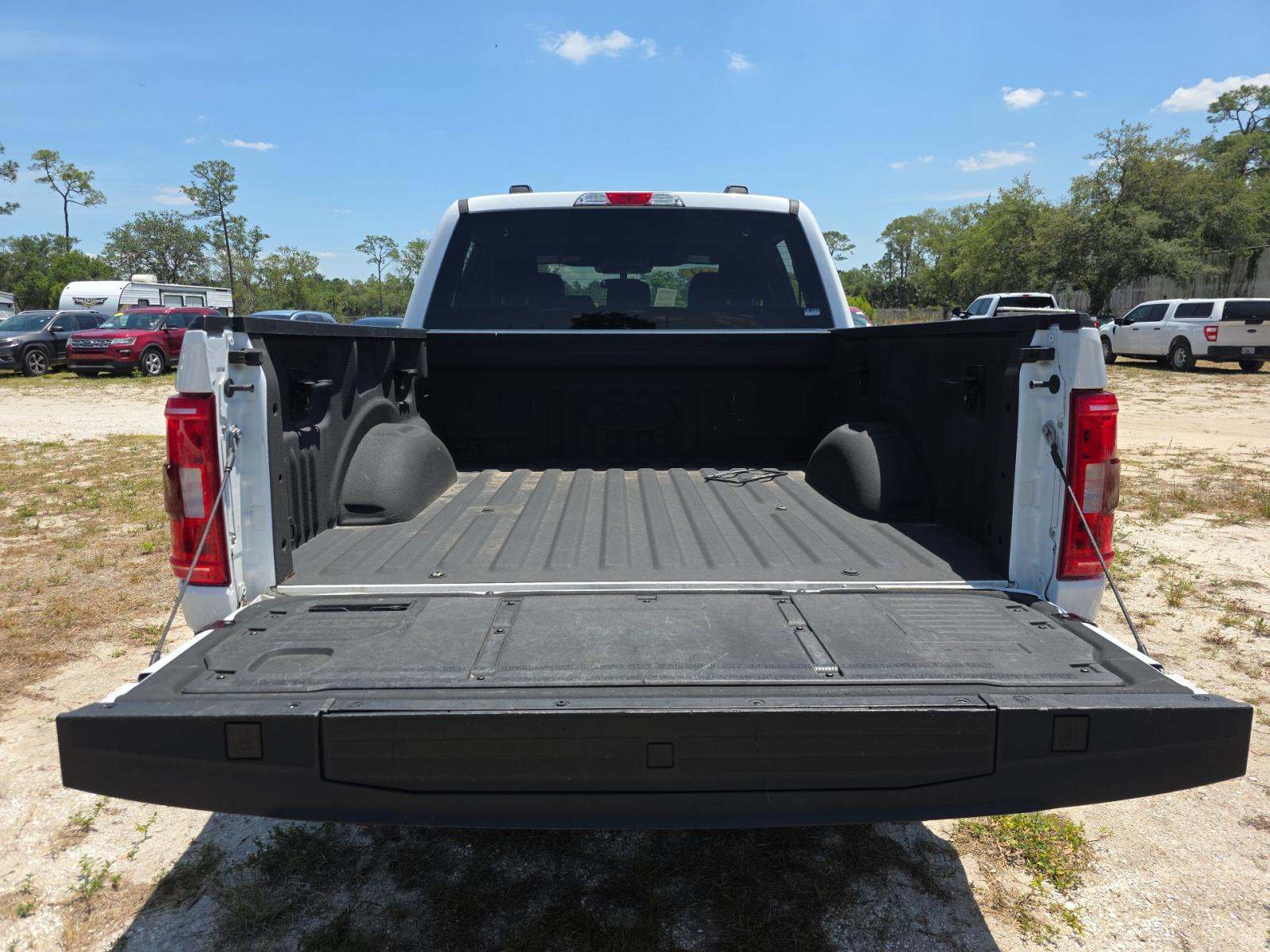 FORD F-150 - 10