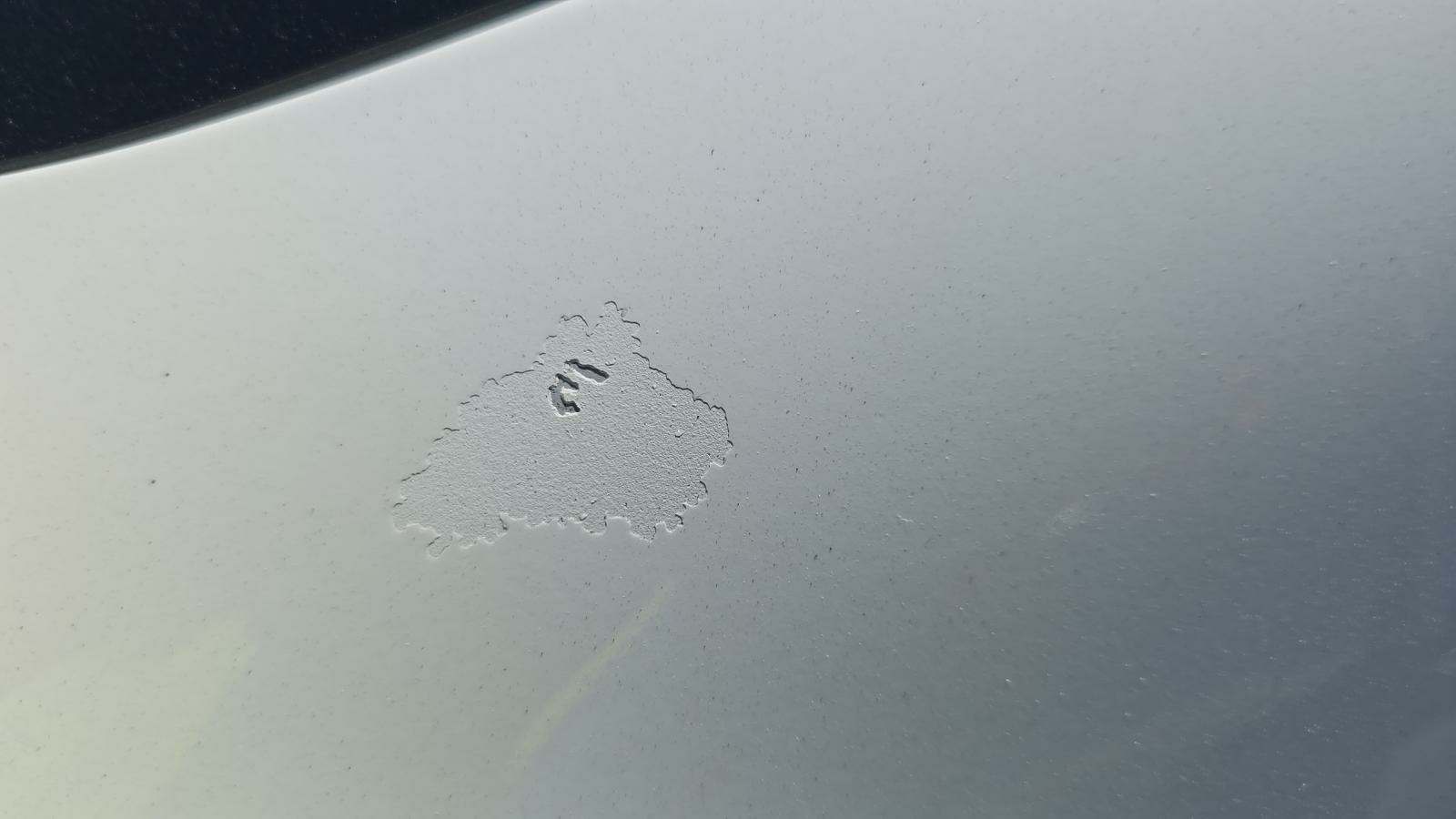 2019 BMW 4 Series 430i xDrive AWD