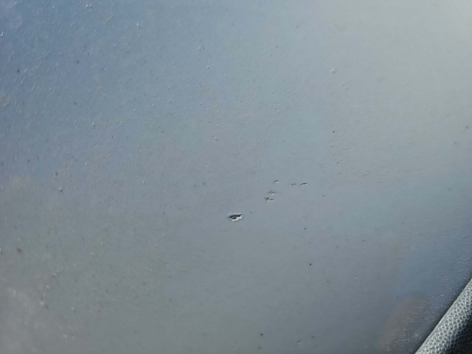 2019 Volkswagen Golf Alltrack 1.8T SE AWD