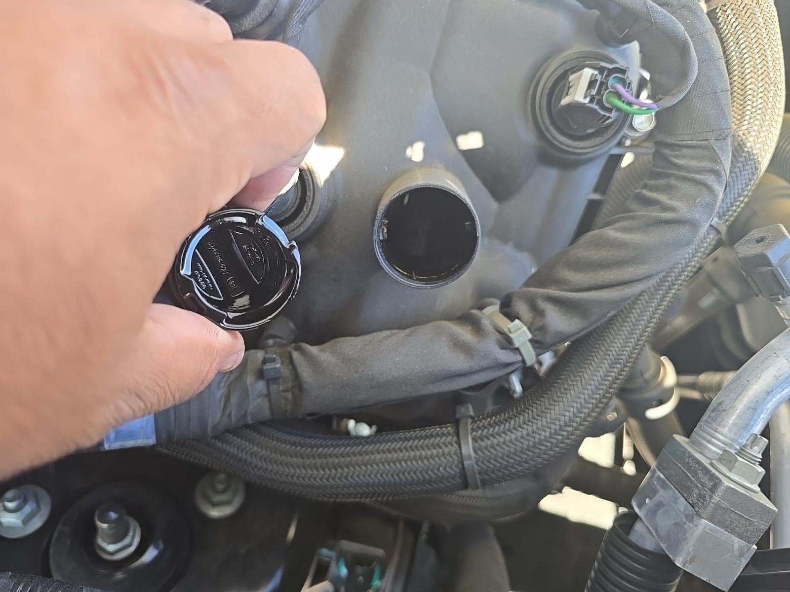 2024 Ford F-150 XL RWD