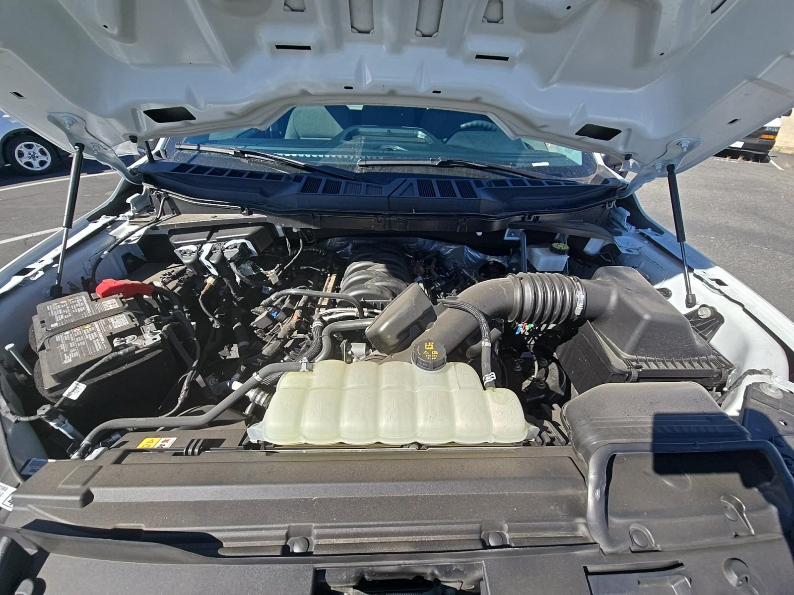 2024 Ford F-150 XL RWD