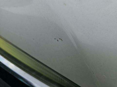 2016 Honda Pilot Elite AWD