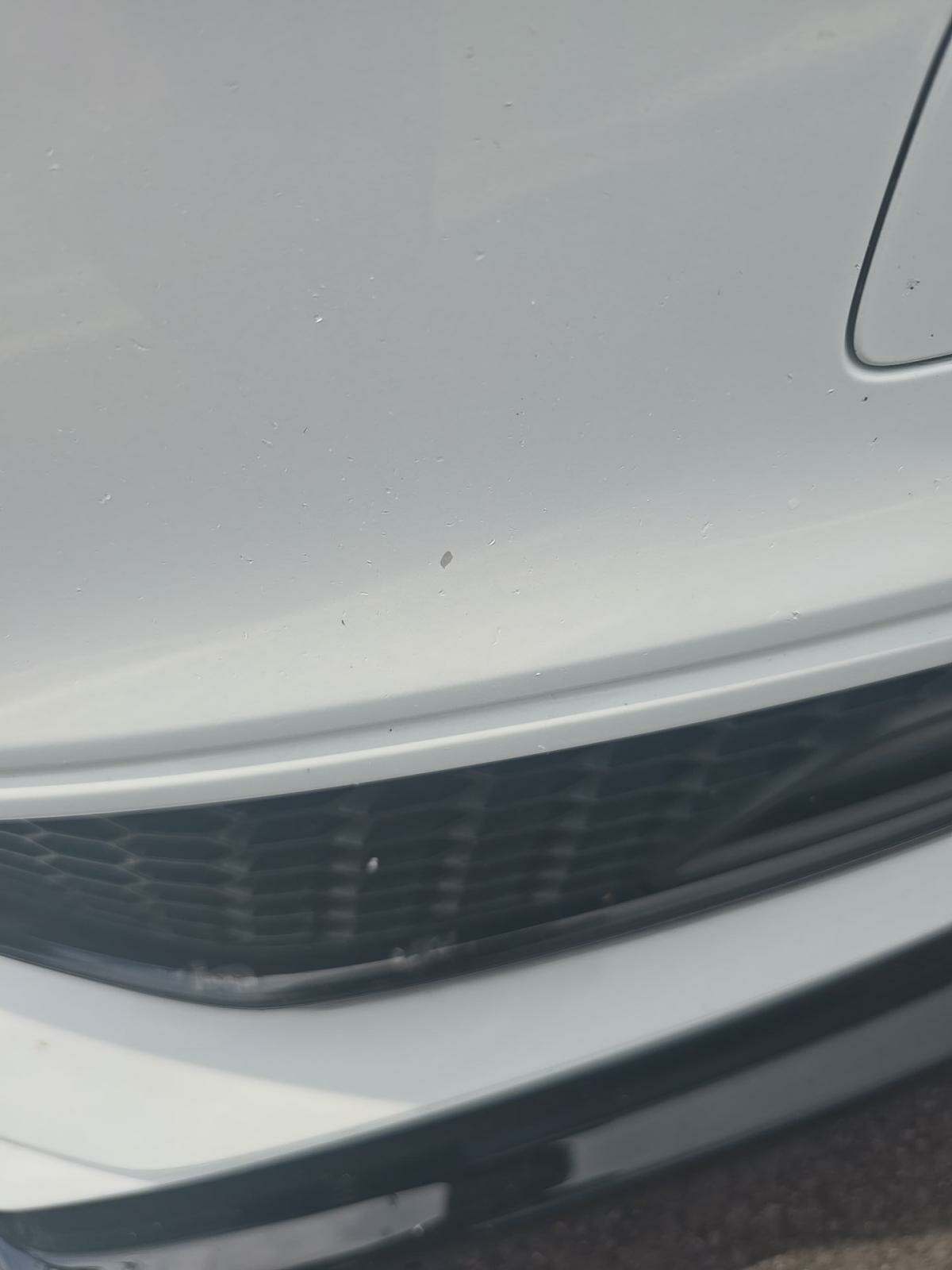 2016 Audi S4 Premium Plus AWD