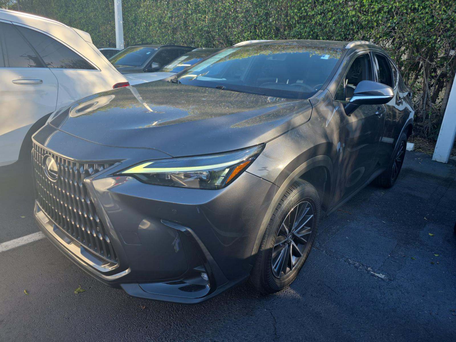 2024 Lexus NX NX 250 Premium FWD