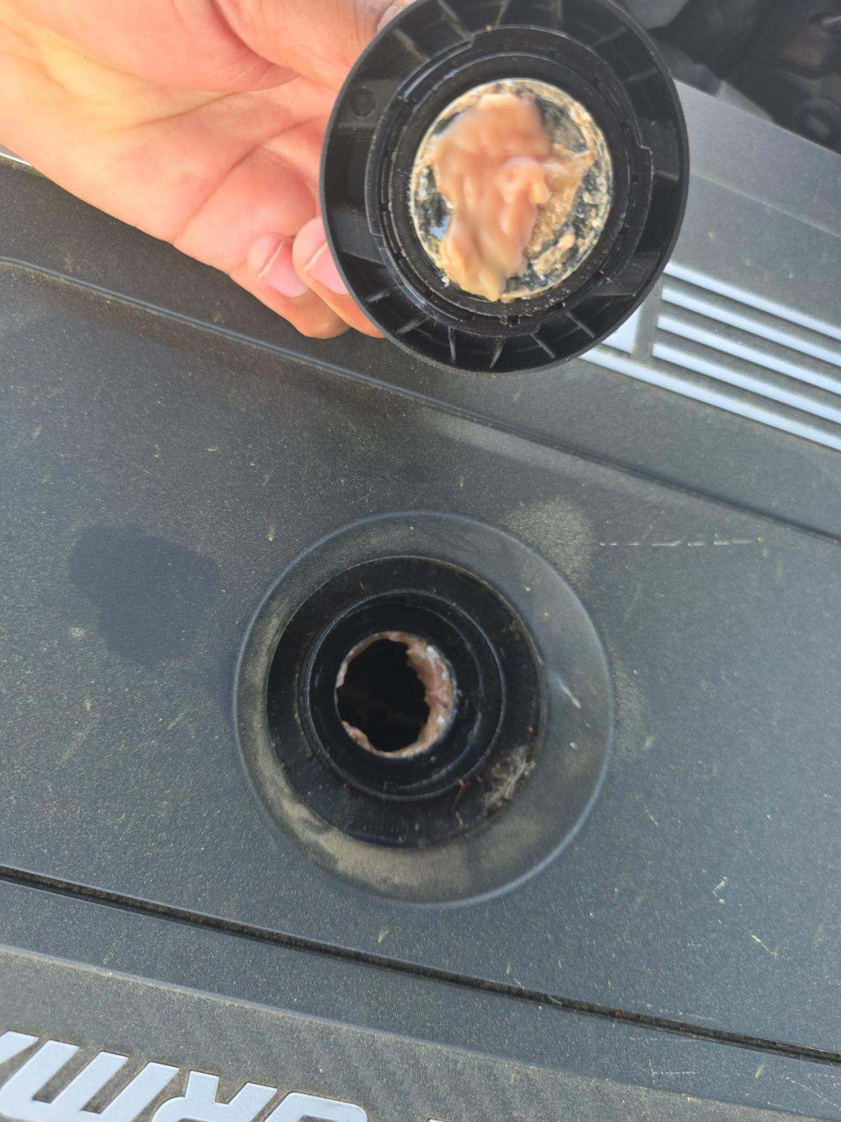 2021 BMW 3 Series M340i RWD