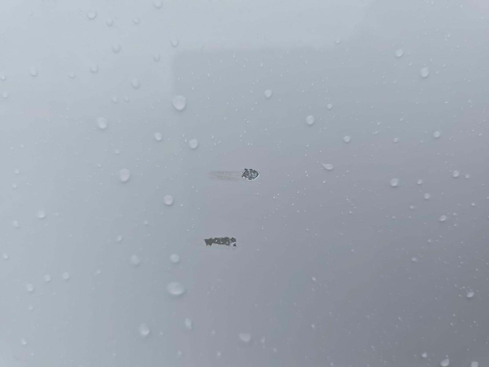 2023 Volkswagen Atlas 2.0T SE FWD