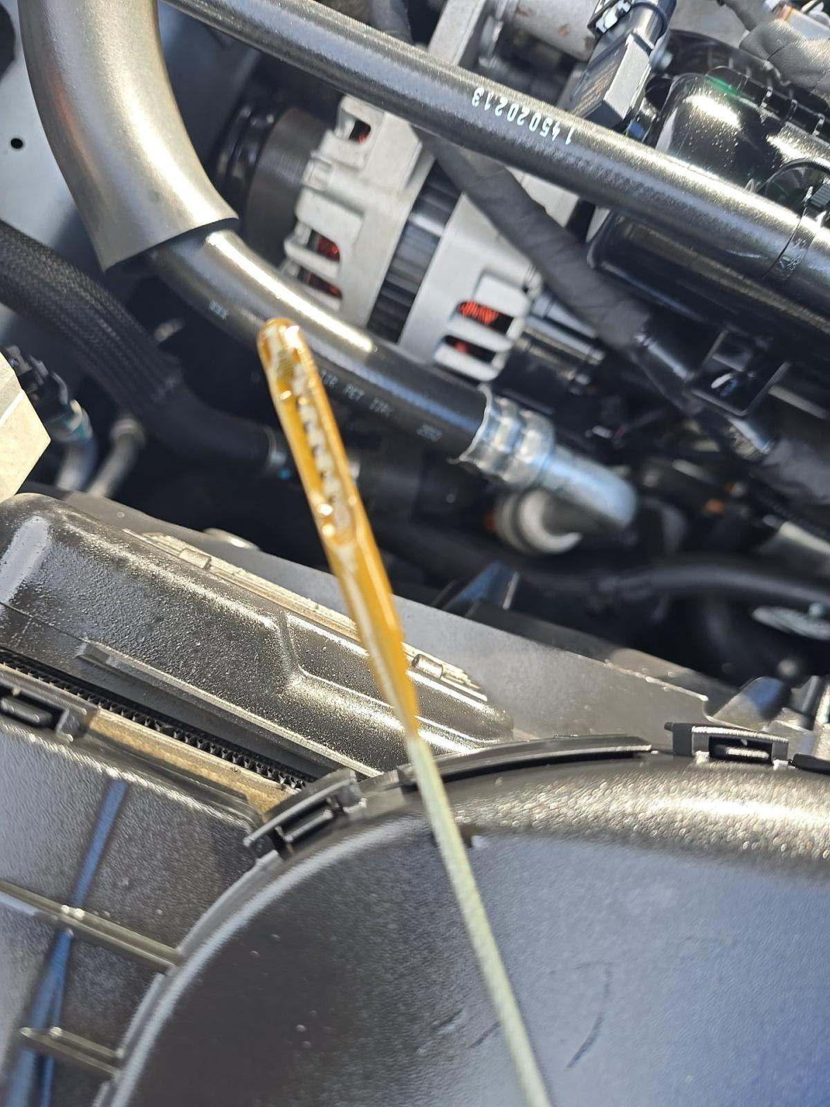 2020 Ford Escape SE FWD