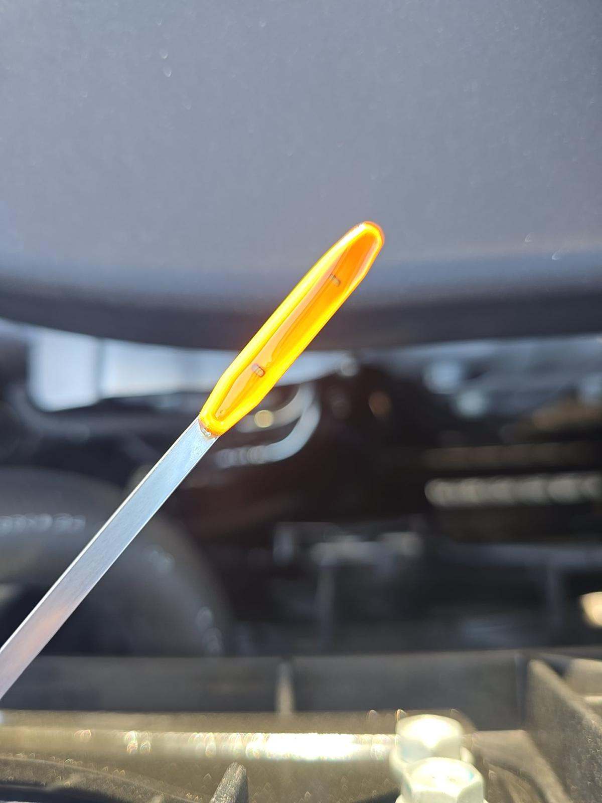 2025 Honda CR-V LX FWD