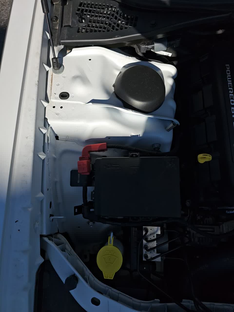 2023 Dodge Challenger R/T Scat Pack RWD