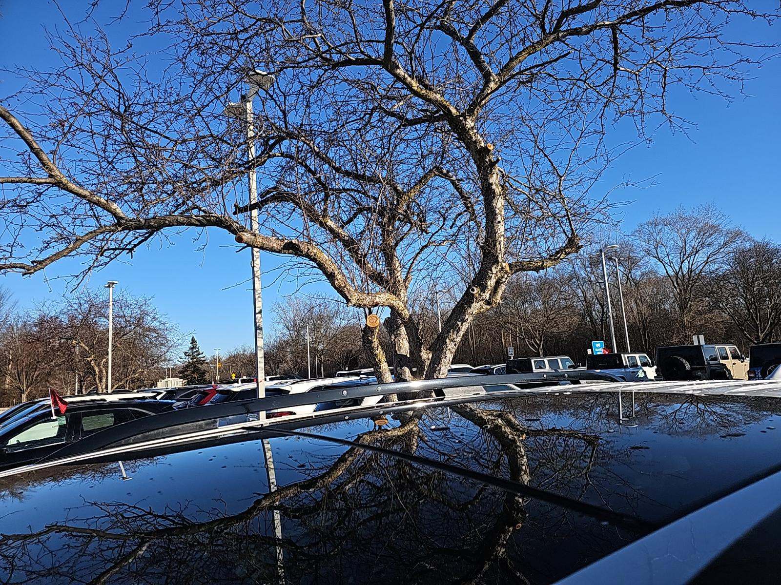 2023 Honda Pilot Elite AWD