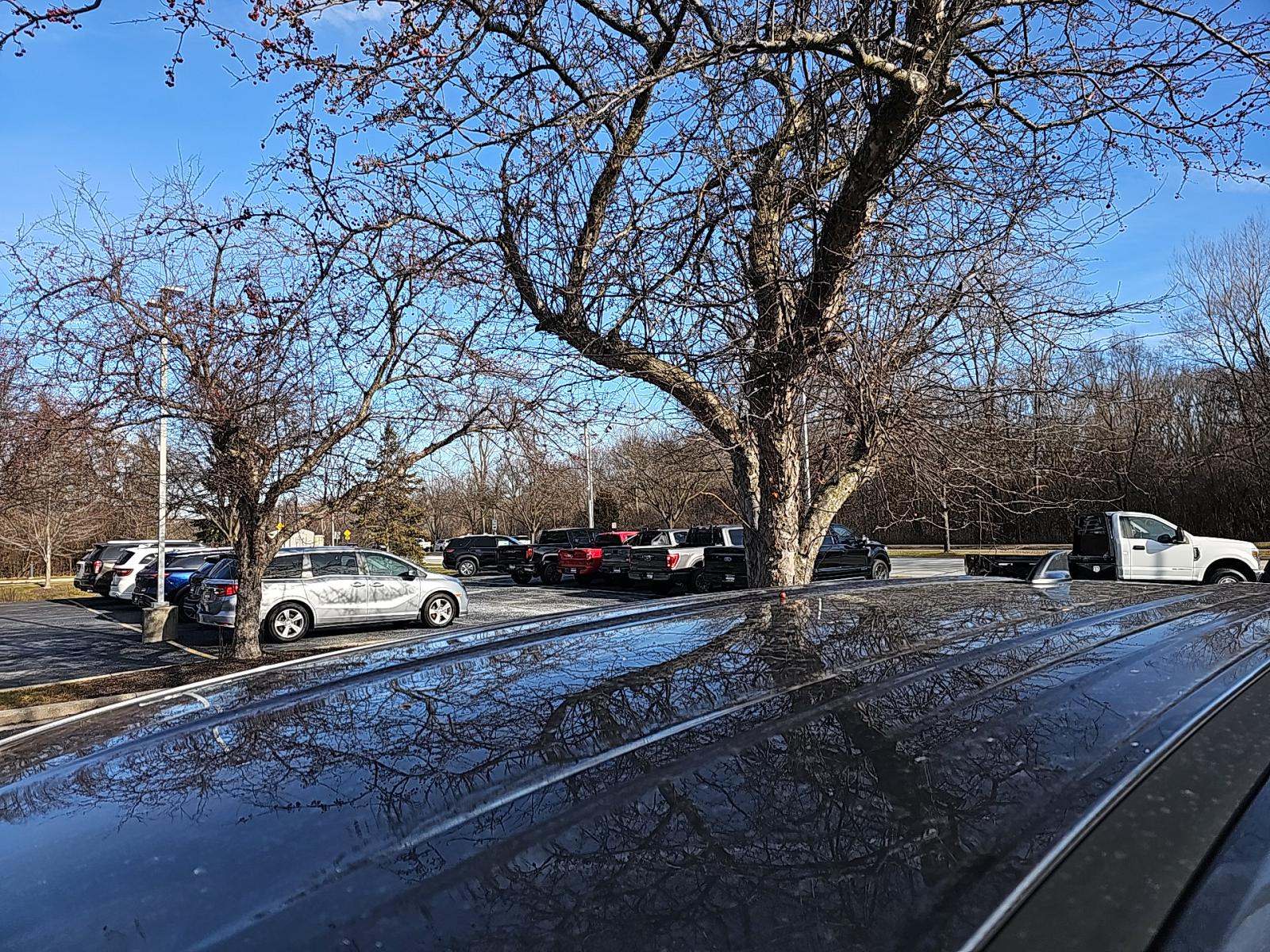 2025 Nissan Rogue SV AWD