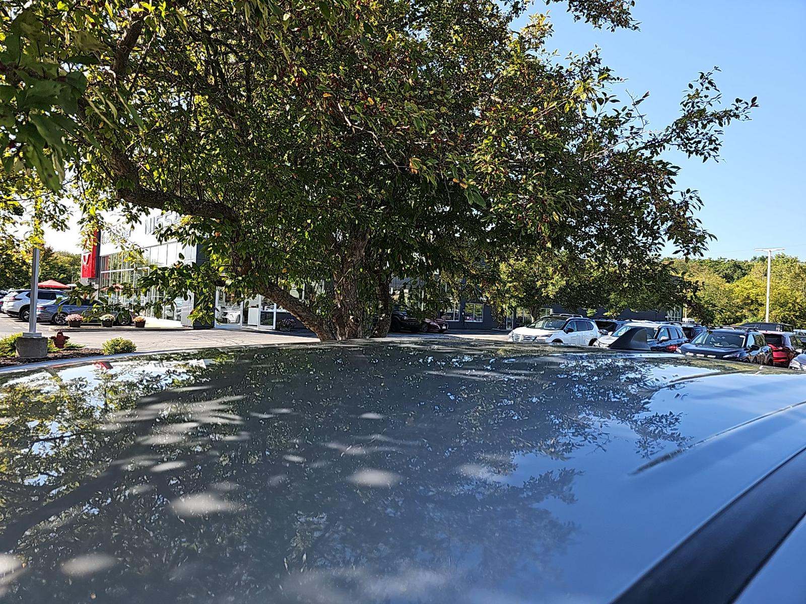 2019 Toyota Tacoma TRD Off-Road AWD