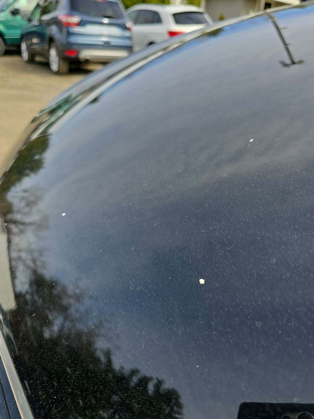 2016 Audi Q3 2.0T Premium Plus AWD