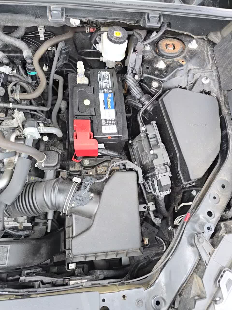 2019 Toyota RAV4 XLE AWD