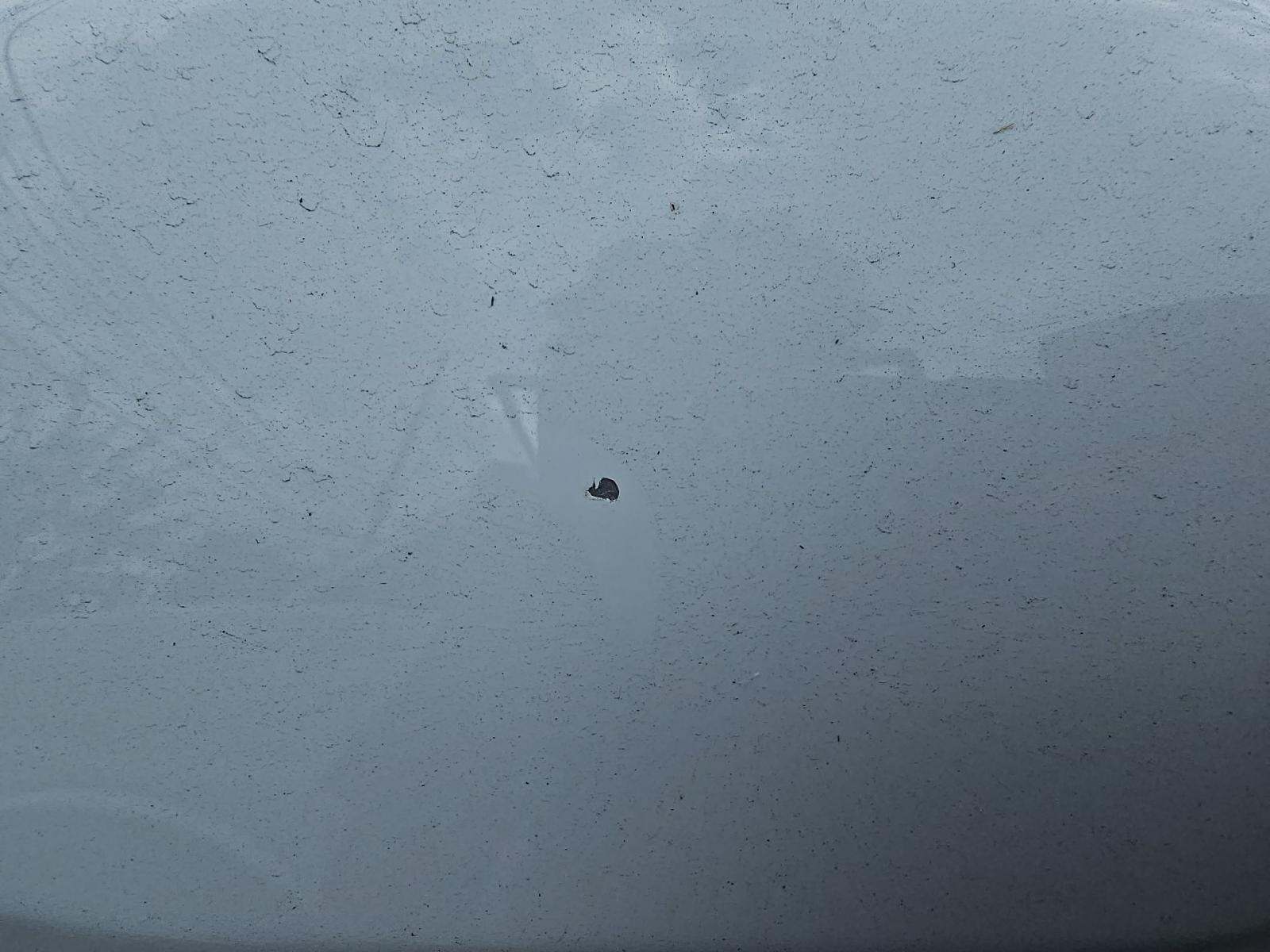 2024 Chevrolet Silverado 1500 Work Truck AWD