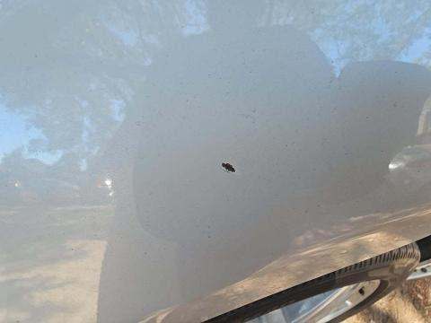 2011 Mercedes-Benz M-Class ML 550 AWD