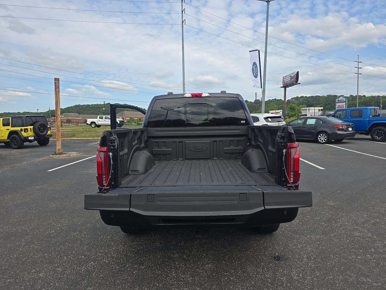 FORD F-150 - 10