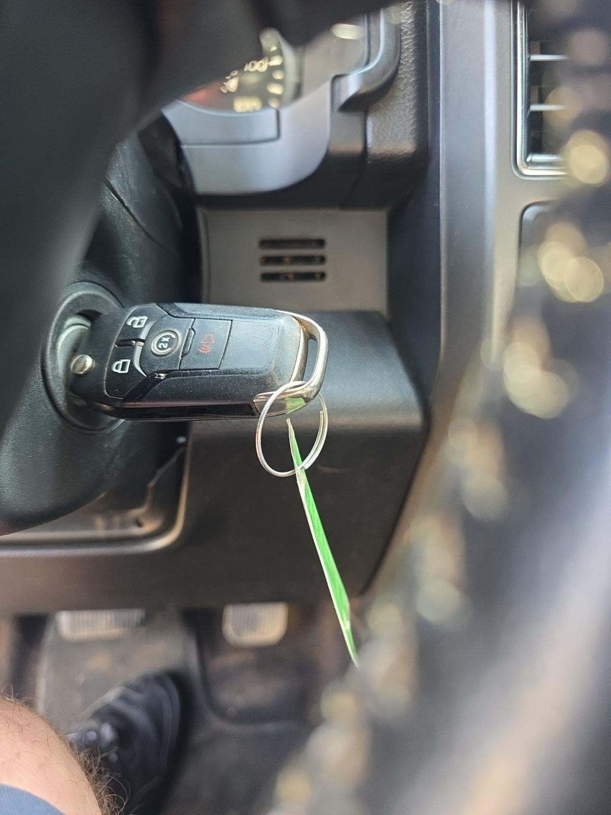 2019 Ford F-150 XLT AWD