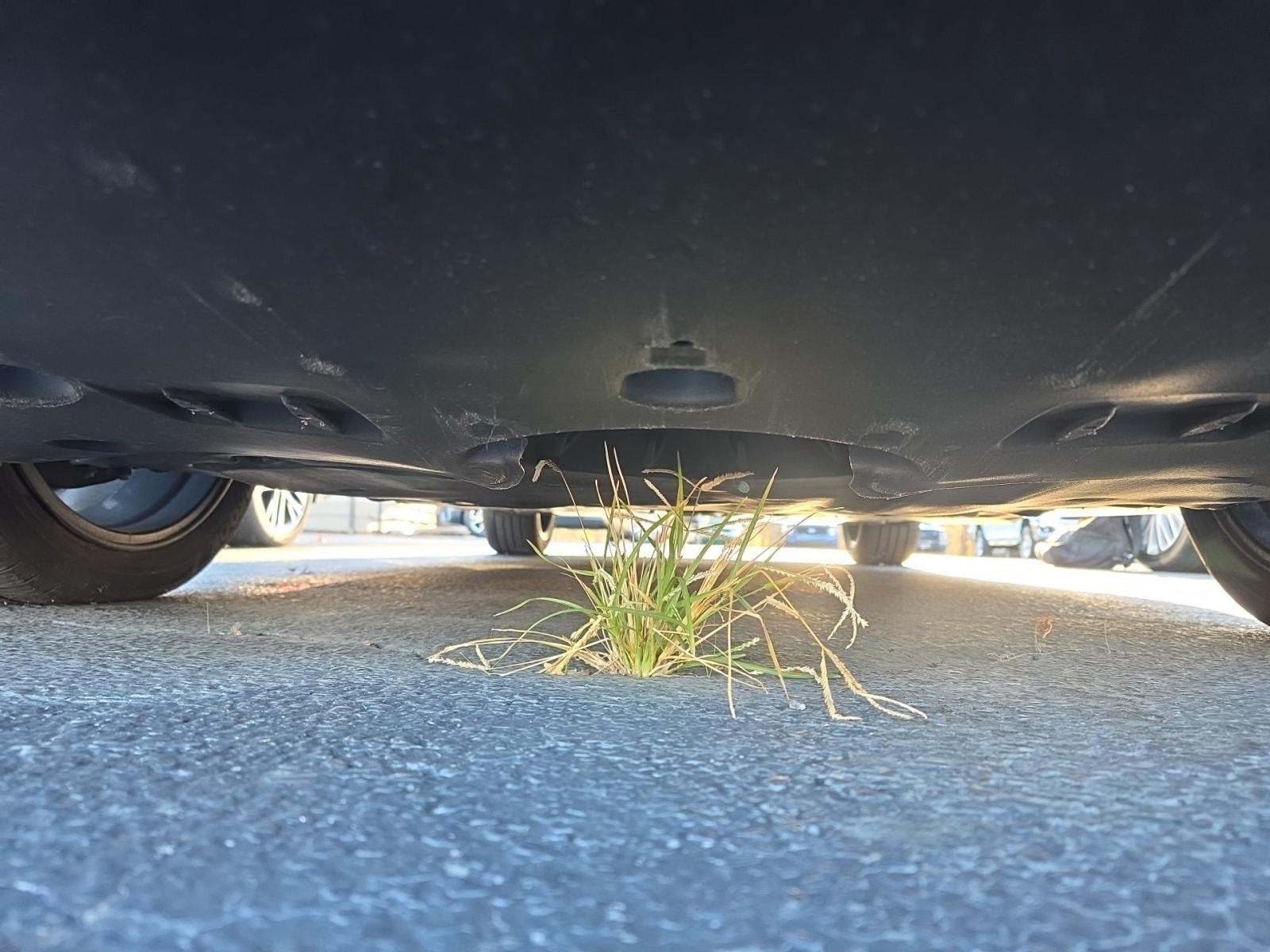 2024 Toyota Camry XLE FWD