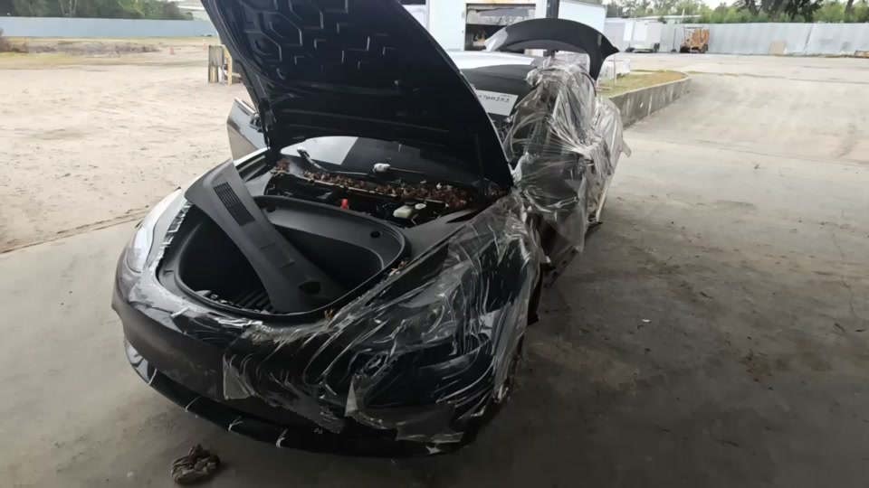 2023 Tesla Model 3 Standard Range