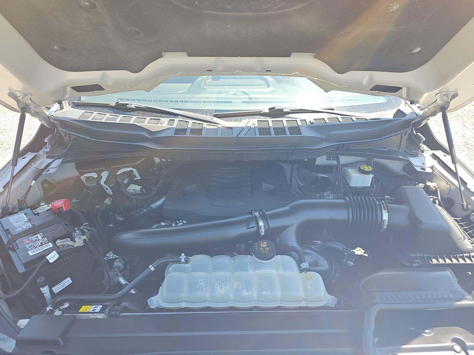 2023 Ford F-150 XLT RWD