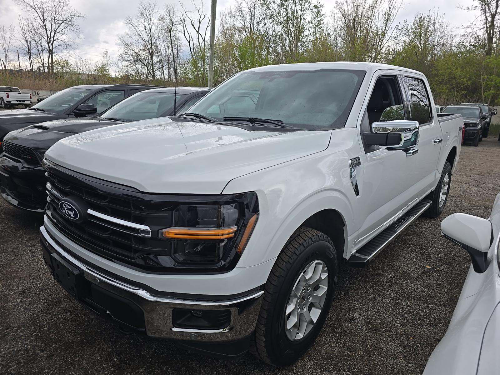 FORD F-150 - 1